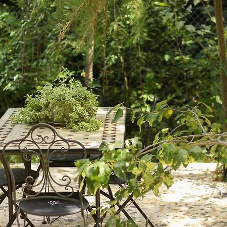 Le Magnolie *